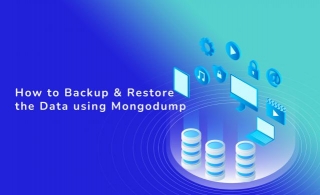 How To Backup & Restore The Data Using Mongodump