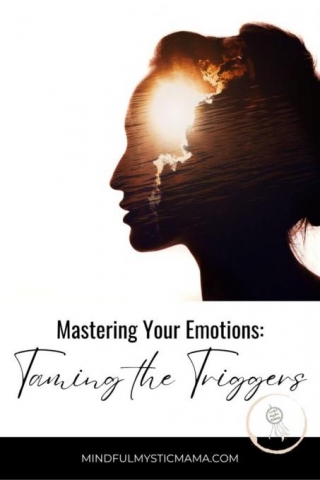 Mastering Your Emotions: Taming The Triggers