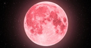 'Lua Cheia Rosa' Poderá Ser Vista Nesta Terça-feira No Brasil
