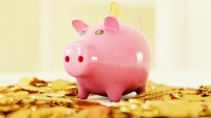 Maintain Your Piggy Bank With Financial Success In Your Private Practice