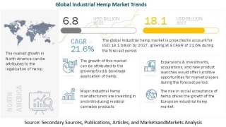 Hemp Boom: Sustainable Products Drive Market To $18.1 Billion By 2027