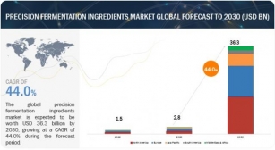 Precision Fermentation Ingredients Market Trends, Industry Overview, And Top Companies