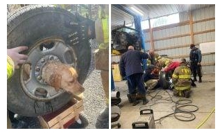 Curious Puppy Freed By Firefighters After Her Head Was Stuck In A Tire Rim