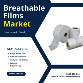 Breathable Films Market Forecast: Growth Opportunities And Strategies