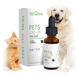 The Ultimate Guide To CBD Products For Pets: What You Need To Know Before Choosing The Right Option For Your Pet