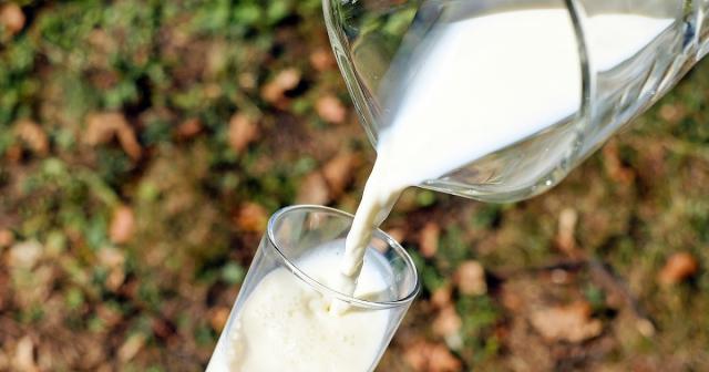 Dieta per l'intolleranza al lattosio: alternative al latte e derivati