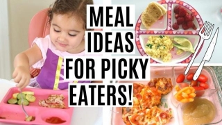 Low Carb Meals For Picky Eaters-Delicious & Healthy Options