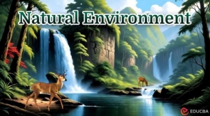 Essay On Natural Environment