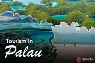 Tourism In Palau