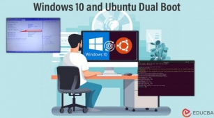 How To Dual Boot Windows 10 And Ubuntu 24.04