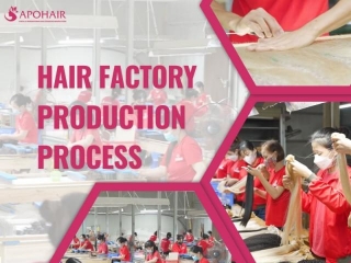 The Hair Factory Production Process At Apohair