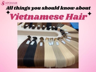 All Things You Should Know About Vietnamese Hair