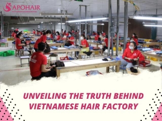 Unveiling The Truth Behind Vietnamese Hair Factory