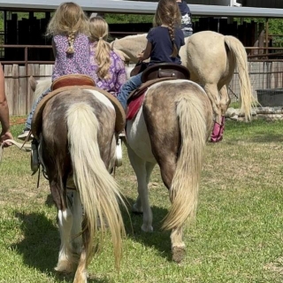 Mom And Daughter Pony Team