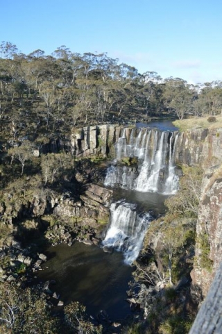 Itinerary: Waterfall Way Road Trip From Brisbane