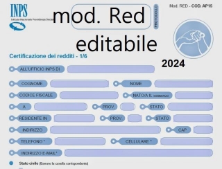 Modello RED 2024 Editabile Gratis