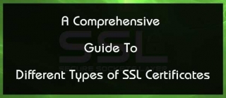 Different Types Of SSL Certificates: A Complete Guide (2024)