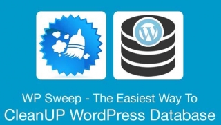 The Best Way To CleanUP Your WordPress Database With WP Sweep