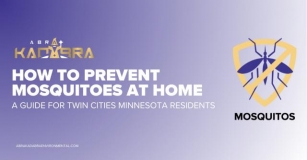 How To Prevent Mosquitoes At Home (A Guide For Twin Cities Minnesota Residents)