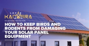 How To Keep Birds And Rodents From Damaging Your Solar Panel Equipment