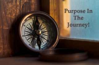 Purpose In The Journey