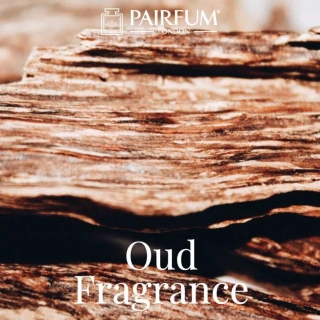The Scent Of Oud: Discover Its Enigmatic & Exquisite World