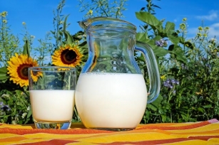 Susu Bisa Serap Gizi Secara Maksimal Untuk Bantu Pertumbuhan Anak