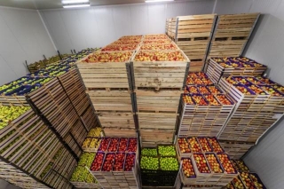 Best Practices For Shipping Fresh Foods