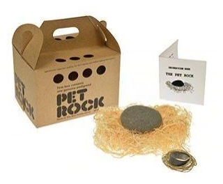 How The Pet Rock Became A Massive Hit