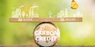 New Rules For Carbon Offsets