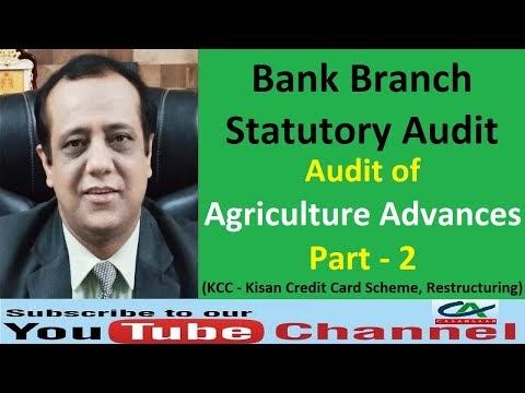 Audit of Agriculture Advances - Bank Branch Statutory Audit - 2