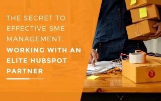 Empower Your SME Management By Working With An Elite HubSpot Partner