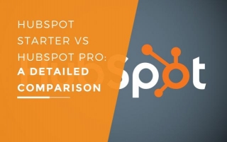 HubSpot Starter Vs HubSpot Pro: A Detailed Comparison