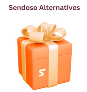 🏅5 Best Sendoso Alternatives To Upgrade Your Corporate Gifting Game [2024]
