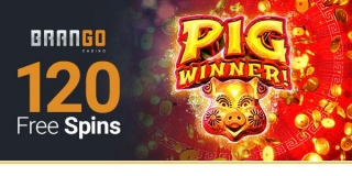 Better Best Online Casino Gold King Bingo Incentives
