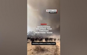Devastating wildfires tear through northern Texas