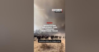 Devastating Wildfires Tear Through Northern Texas