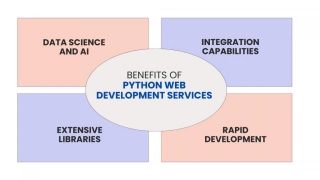 The Perks Of Python Web Development Services For Your Business
