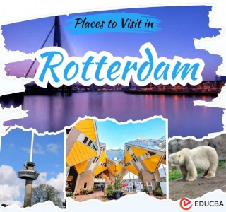 Places To Visit In Rotterdam
