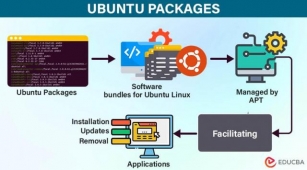 Ubuntu Packages