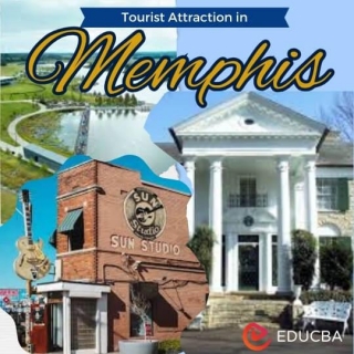 Tourist Attraction In Memphis