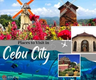 Places To Visit In Cebu City