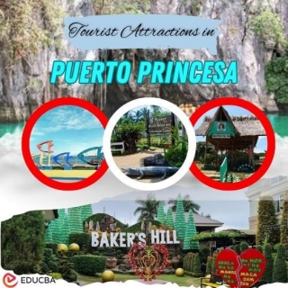 Tourist Attractions In Puerto Princesa