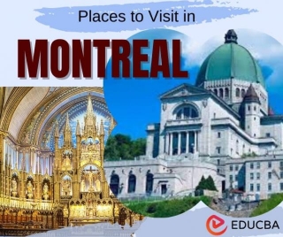Places To Visit In Montreal