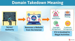 Domain Takedown