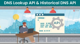 DNS Lookup API And Historical DNS API
