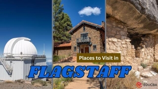 Places To Visit In Flagstaff