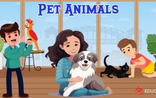 Essay on Pet Animals