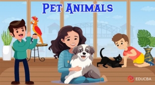 Essay On Pet Animals