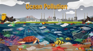 Essay On Ocean Pollution